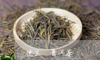 德兰 普洱茶/2023042843683